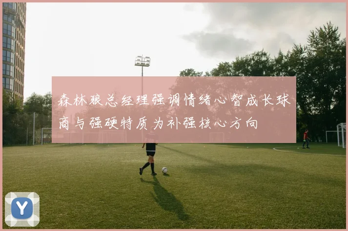森林狼总经理强调情绪心智成长球商与强硬特质为补强核心方向